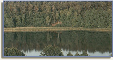 waldsee